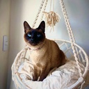 CAMITA COLGANTE GRANDE