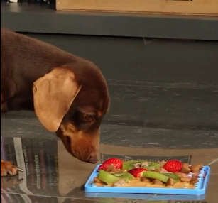 MANTA COMELENTO GRANDE